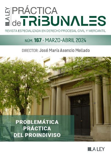 Imagen de Práctica de Tribunales