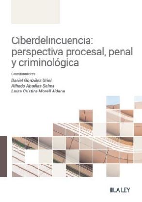 Imagen de Ciberdelincuencia: perspectiva penal, procesal y criminológica