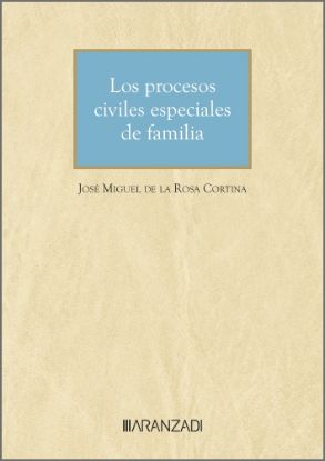 Imagen de Los procesos civiles especiales de familia